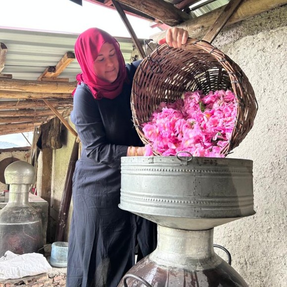 Meet your Posher, Yasemin kasim - Picture 1 of 1